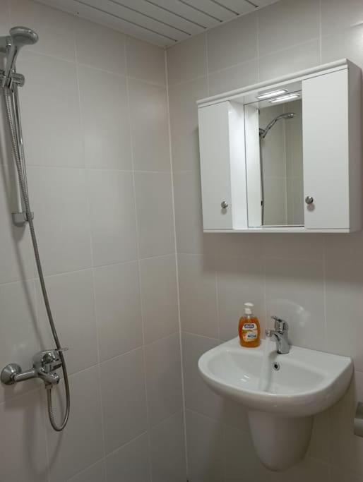 Gradina Apartment مونتانا المظهر الخارجي الصورة