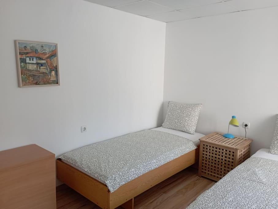 Gradina Apartment مونتانا المظهر الخارجي الصورة
